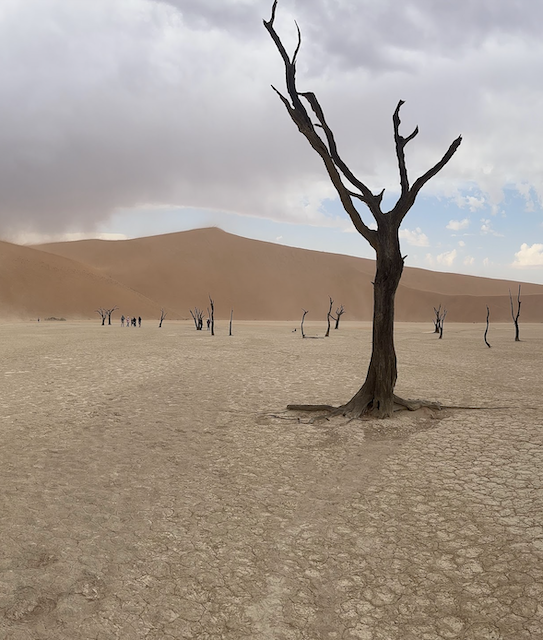 Solo in Namibia